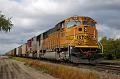 BNSF 9891 at Potato Plant